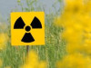 Valdība nesteidzas risināt Salaspils kodolreaktora likvidēšanas jautājumu